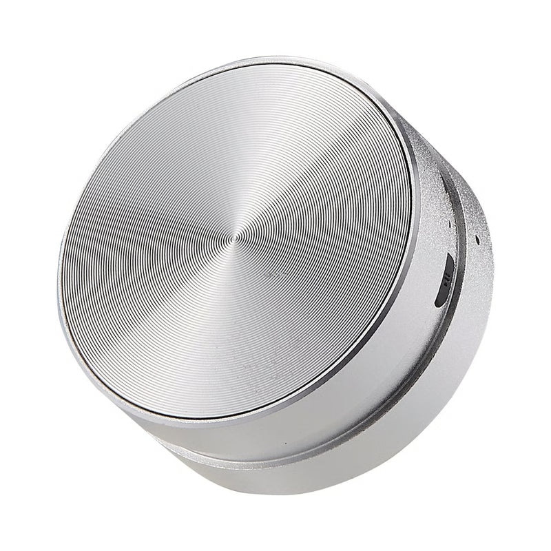 The Anything speaker silver